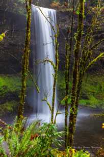 Silver Falls-1672